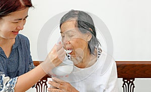 Caregiver feeding elderly parents