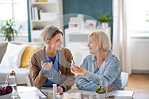 Caregiver or healthcare worker with senior woman patient, measuring blood glucose indoors.
