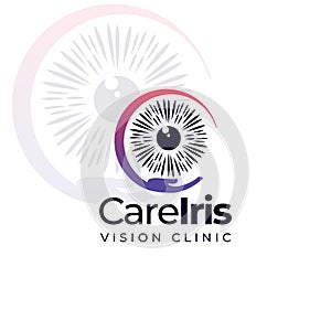 Careiris vision clinic logo, round hand and eyeball vector