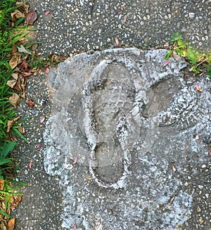 Careless Footprints ruining wet cement