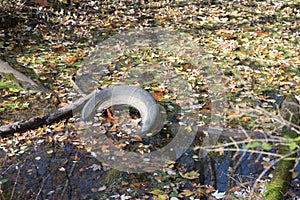 Carelessly Discarded Tire