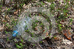 A carelessly throw away plastic water bottle nestled in the foliage litters a forest path