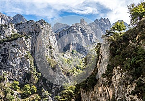 The Cares trail, garganta del cares, in the Picos de Europa Mountains, Spain