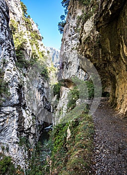 The Cares trail, garganta del cares, in the Picos de Europa Mountains, Spain photo