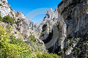 The Cares trail, garganta del cares, in the Picos de Europa Mountains, Spain photo