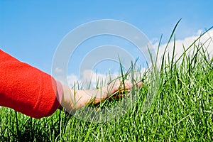 Caressing the grass
