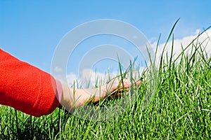 Caressing the grass photo