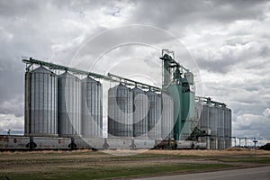 Cargill Elevator, Blackie