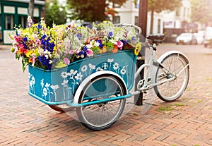 Cargo bike with flowers, Holland