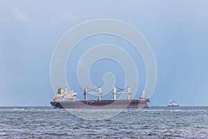 Cargo carrier container on the sea