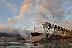 Cargo conveyor and ship