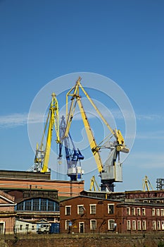 Cargo crane
