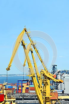 Cargo crane and ship