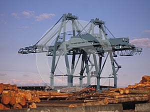 Cargo Cranes