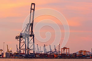 Cargo cranes in industrial port at sunset