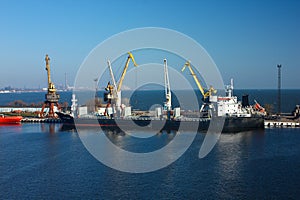 Cargo cranes transship bulk in the dock of Industrial Sea Port