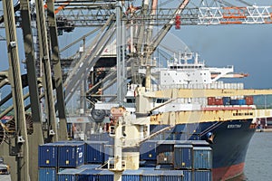 Cargo operation in container terminal in port of Kingston where various ships are discharged and loaded with gantry cranes.