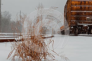Cargo railroad industry in winter. Railway carriage transport still storage.