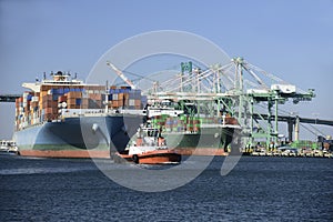 Cargo ship