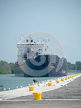 Cargo Ship Approaching docking area
