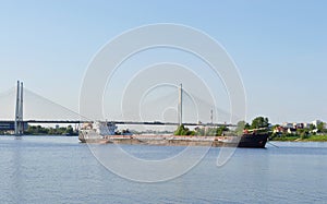 Cargo ship and cable-braced bridge