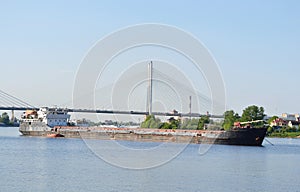Cargo ship and cable-braced bridge