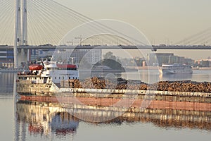 Cargo ship and cable-braced bridge