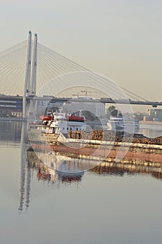 Cargo ship and cable-braced bridge