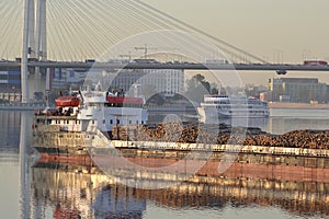 Cargo ship and cable-braced bridge