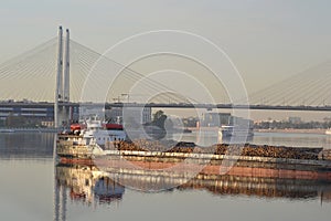 Cargo ship and cable-braced bridge photo