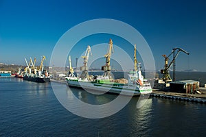 Cargo ship docked at international port, cranes load containers for global trade. Clear sky, calm sea reflect logistics