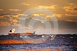 Cargo ship moves along fairways and swans