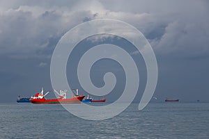 Cargo ship sailing in the sea