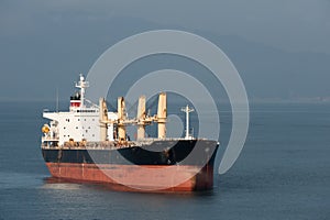 Cargo Ship in Transit