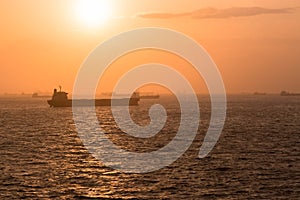 Cargo ships at anchor.