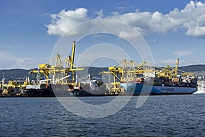 Cargo ships docked at Pier VII of the Port of Trieste loading:unloading containers