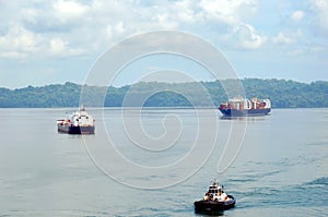 Cargo ships on the Gatun Lake, Panama.