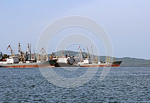 Cargo ships are in port for loading