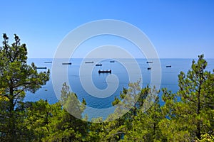 Cargo ships in the roadstead in the Black Sea