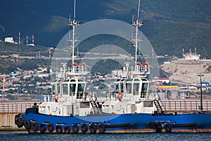 cargo ships in seaport