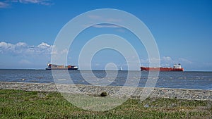 Cargo ships on the water with blue sky above and green grass on the shore