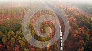 Cargo Train with freight cars goes through the autumn Forest in a haze - aerial shot