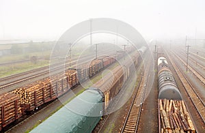 Cargo train platform with container, railway