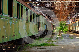 Cargo trains in old train depot