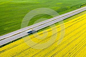 Cargo transportation by land. A truck carries goods along a road in a yellow field. Freight concept