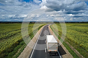 Cargo truck driving on highway hauling goods. Delivery transportation and logistics concept