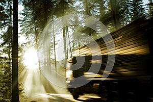 cargo truck moving fast among tall pine trees, sunlight beaming