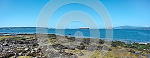 Cargo vessels anchored on roadstead in Burrard inlet