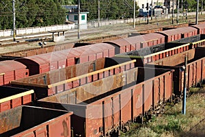 Cargo Waggons