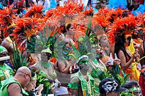 Caribana Revelers